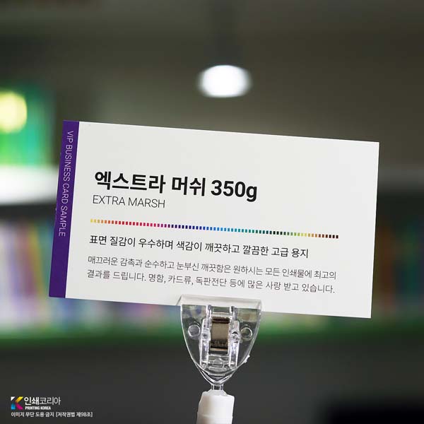 두꺼운 명함 엑스트라 머쉬